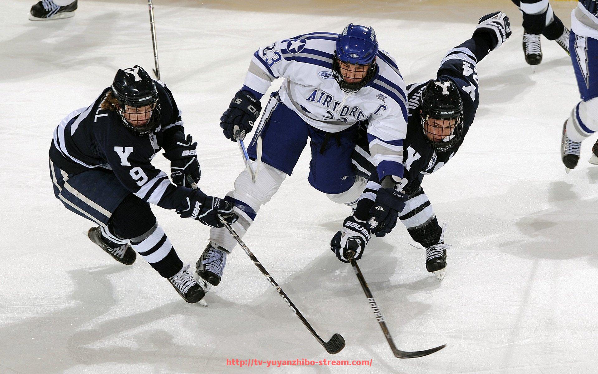 雨燕直播-世俱杯球员护具穿戴稳定性排行榜及性能评测报告