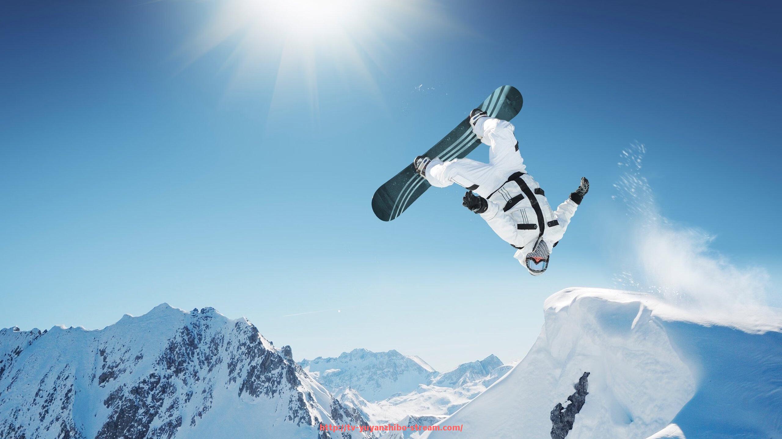 雨燕直播-环境压力下的承诺：世俱杯主办城市环境负荷承受能力分析报告