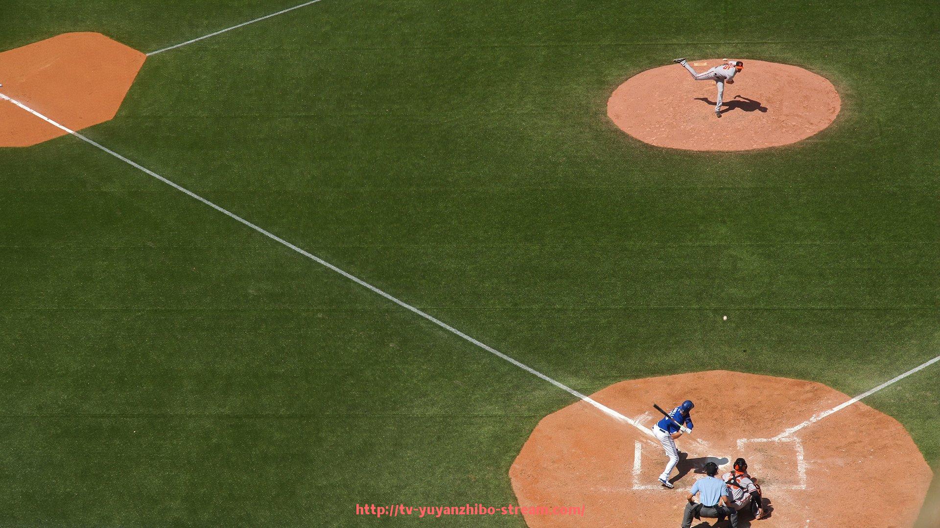 雨燕直播-美国专业健身器材品牌有哪些？进口设备大盘点