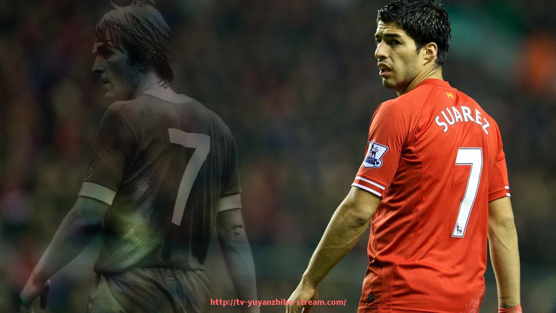 雨燕直播-青年欧冠决赛赛事亮点及未来之星介绍