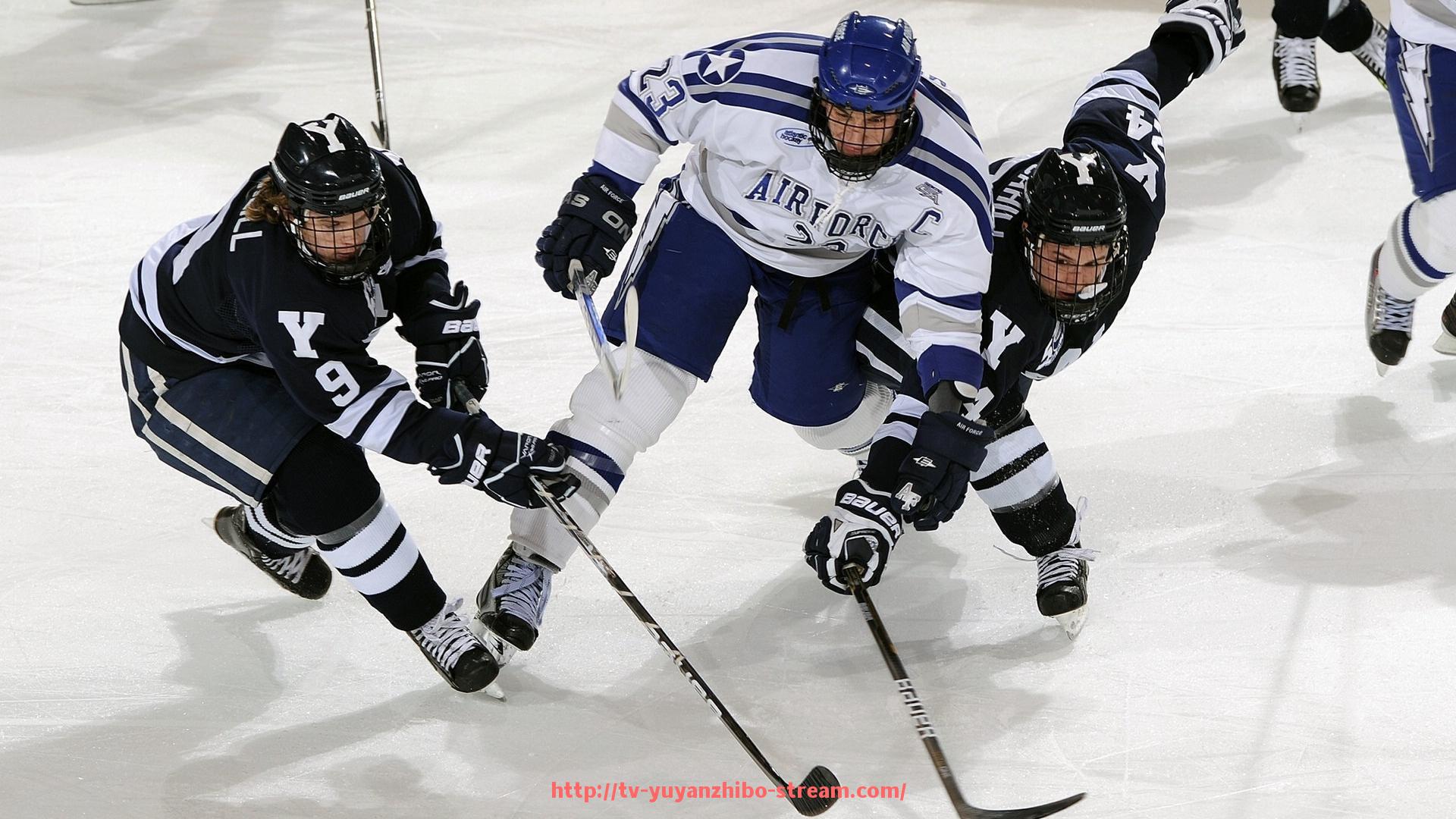 雨燕直播-青年欧冠决赛赛事亮点及未来之星介绍