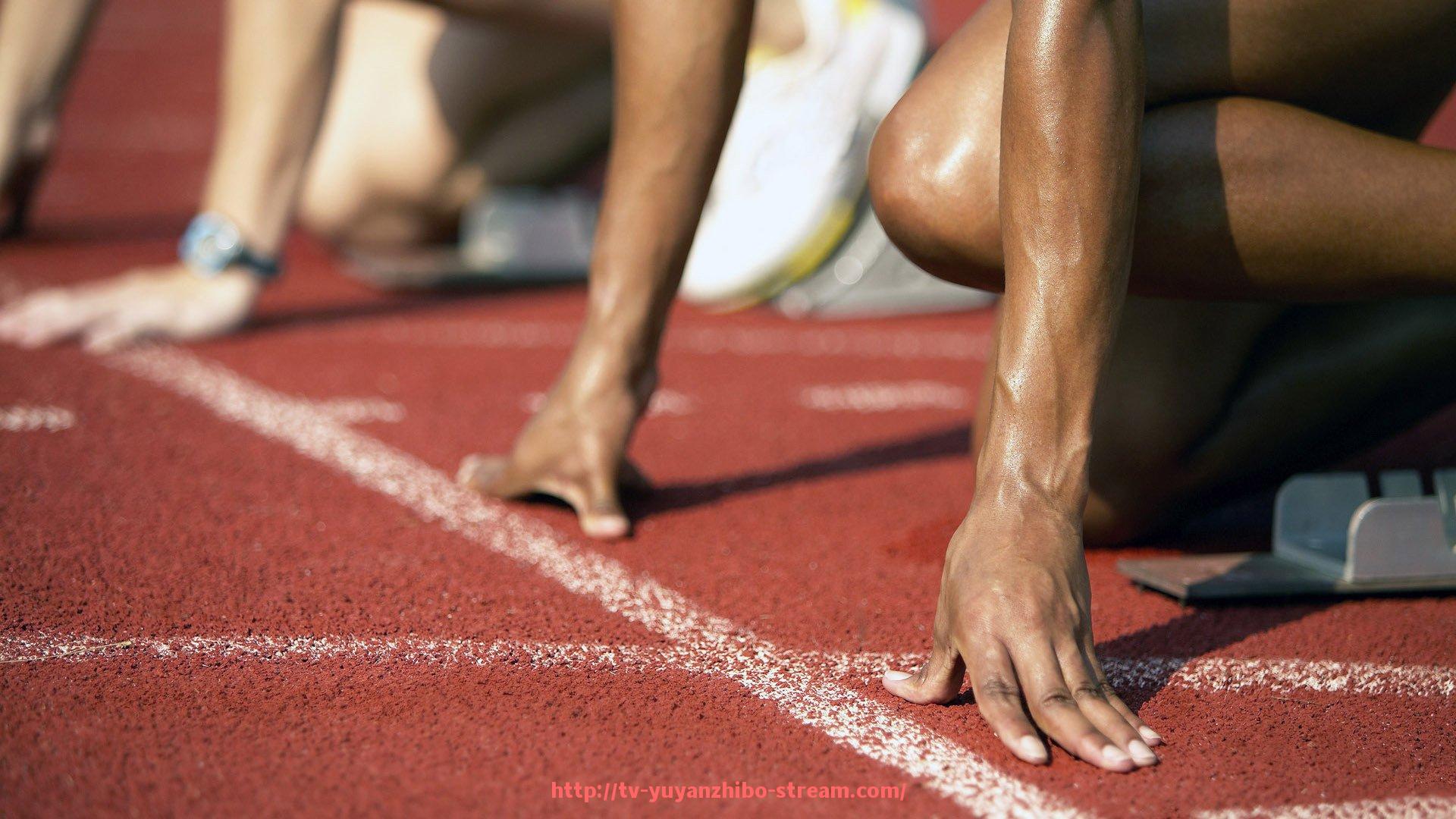 雨燕直播-中国健身器材厂家排名及产品竞争力分析